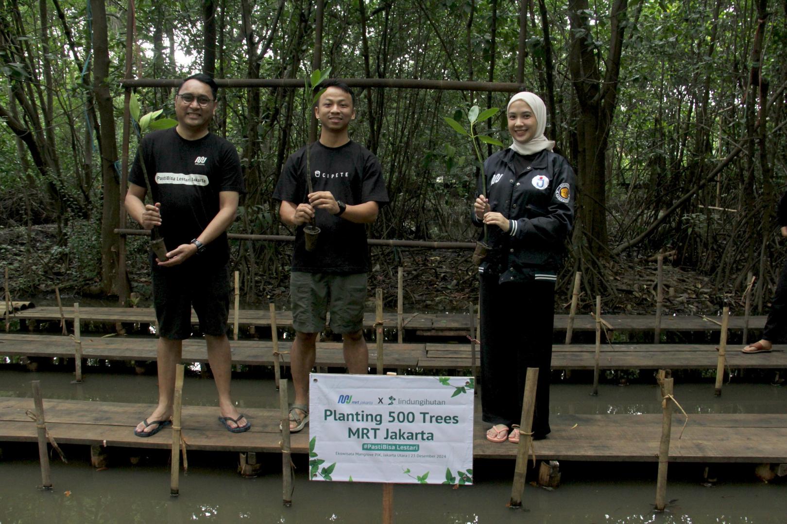 Mangrove PIK